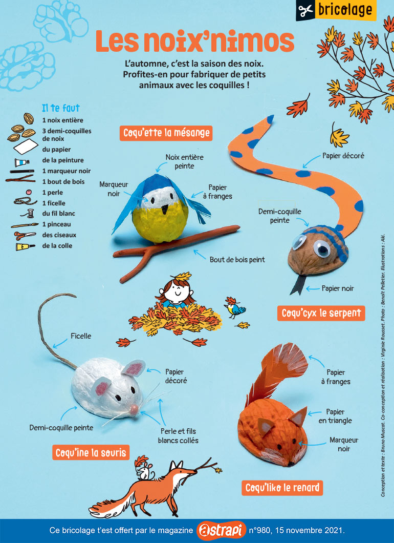 © Photo : Benoît Pelletier. Illustrations : Aki. “Les noix’nimos”, Astrapi n°980, 15 novembre 2021.