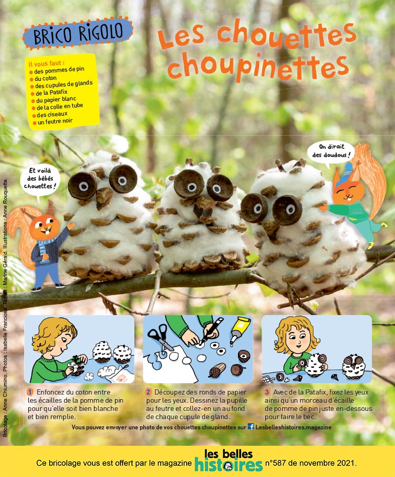 Brico rigolo : “les chouettes choupinettes”. Photo : Isabelle Franciosa. Illustrations : Anne Rouquette.