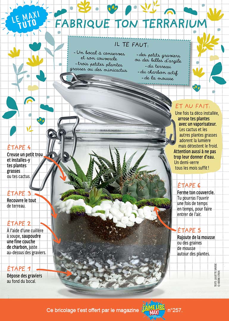 Très décoratif, ce petit coin de nature demandera peu d’entretien une fois installé dans son bocal ! Ce “maxi tuto” de J’aime lire Max détaille toutes les étapes pour réaliser un terrarium facilement.
