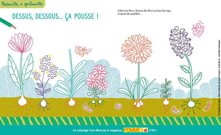 Coloriage nature : dessus, dessous… ça pousse !