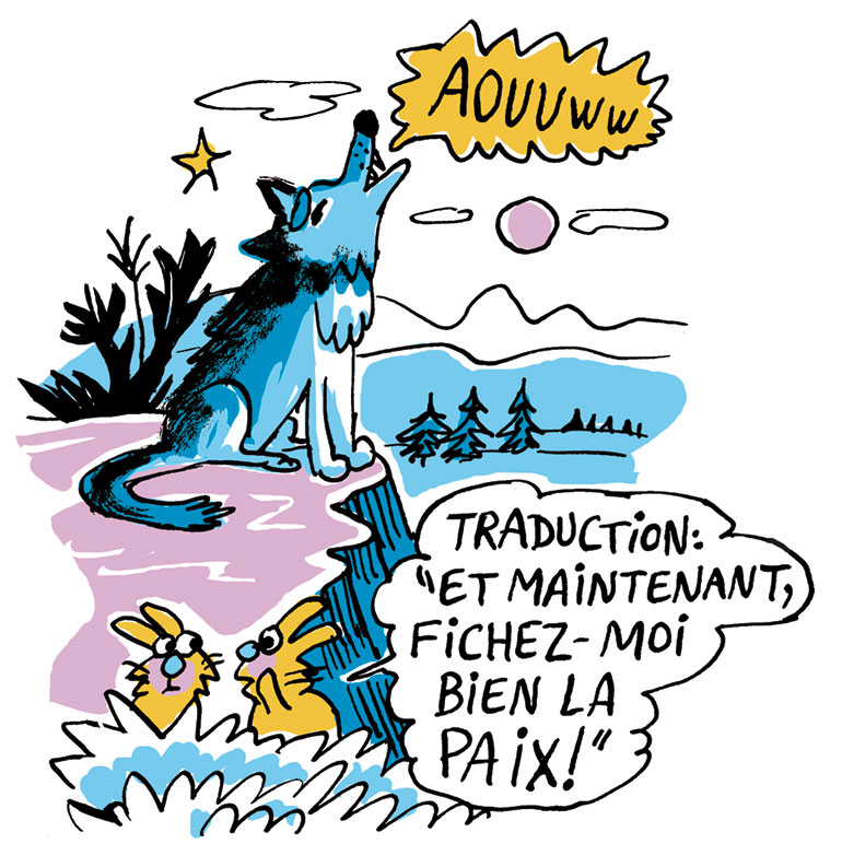 Classique sans prise de tête : L'appel de la forêt. Je bouquine n°489.