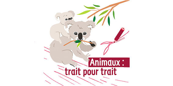 Aniamux trait pour trait
