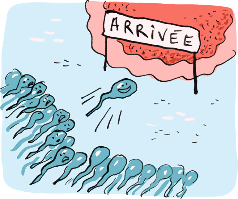 Alors, c’est juste un spermatozoïde sur des millions qui donne un bébé ? Astrapi, le magazine Bayard Jeunesse des 7-11 ans, répond aux questions des enfants.