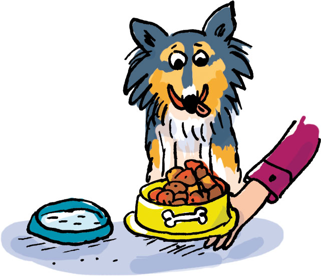 Nourrir son chien. “Occupe-toi bien de ton chien…”, Images Doc n°433, janvier 2025. Illustrations : Marion Puech.