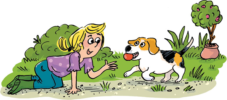 Jouer avec son chien. “Occupe-toi bien de ton chien…”, Images Doc n°433, janvier 2025. Illustrations : Marion Puech.