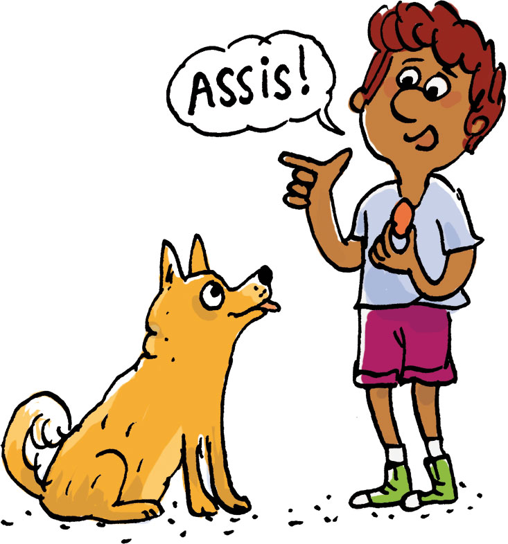 Éduquer son chien. “Occupe-toi bien de ton chien…”, Images Doc n°433, janvier 2025. Illustrations : Marion Puech.
