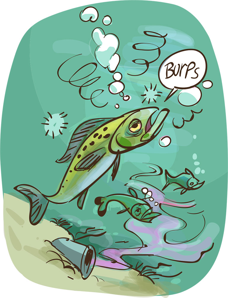 Les médicaments que nous absorbons nous soignent. Puis notre corps les élimine par l’urine ou dans les excréments. Malheureusement, l’eau des toilettes finit dans les rivières et ces produits chimiques perturbent la nature. Certains poissons changent même de sexe ! Et les bactéries qui nous rendent malades deviennent résistantes : on ne peut plus se soigner. Images Doc n° 434. Texte : Olivier Voizeux. Illustration : Renaud Collin.