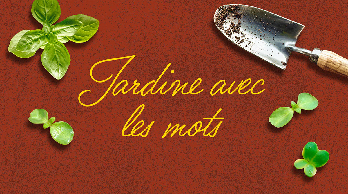 “Fabrique ta carte de vœux”, Je bouquine n°455, janvier 2022. Réalisation et photos : Agathe Guilhem. Des jeux d'écriture pour jouer avec les mots.