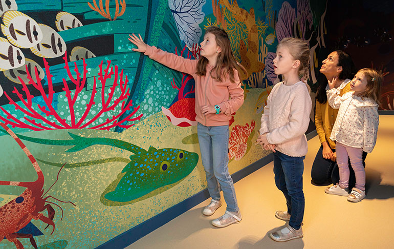 Nausicaá, le plus grand aquarium d'Europe.