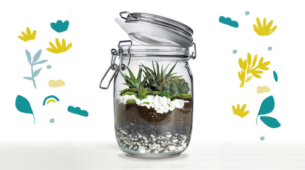 “Fabrique ton terrarium”, J’aime lire Max n°257, mai 2020. Texte : Juliette Sausse. Photo : AdobeStock