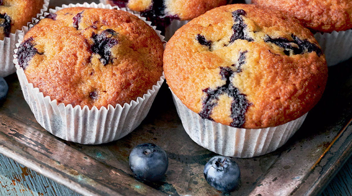Blueberry muffins, I Love English for Kids! n°264, octobre 2024. © Photo : tilialucida/AdobeStock.
