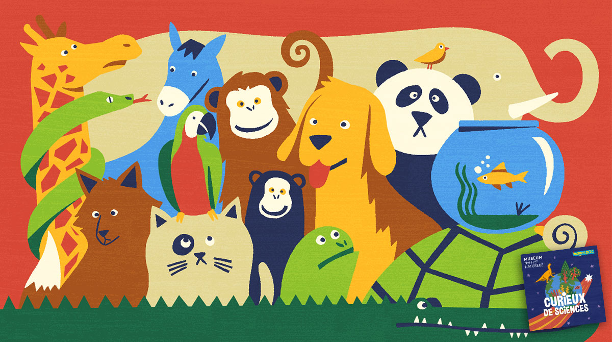 Podcast pour les enfants “Curieux de sciences” : Combien d’espèces animales y a-t-il dans le monde entier ? avec Laure Corbari.