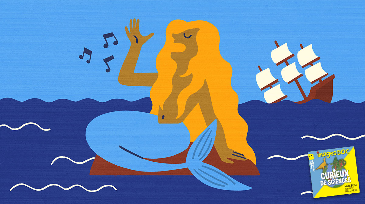 Podcast pour les enfants “Curieux de sciences” : “Les sirènes existent-elles ?”, avec Hélène Artaud , anthropologue de la mer.