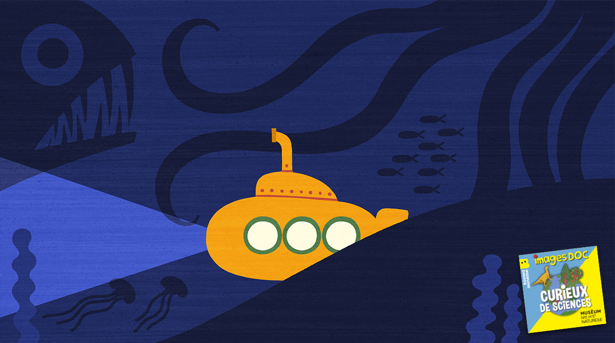 Podcast pour les enfants “Curieux de sciences” : “Est-ce qu'il y a des poissons tout au fond de la mer ?”, avec Samuel Iglesias, ichtyologiste.