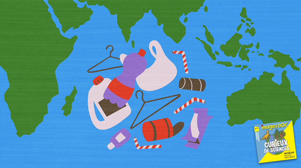 Podcast pour les enfants “Curieux de sciences” : “Pourquoi on parle du continent de plastique ?”, avec Isabelle Le Viol, écologue et biologiste de la conservation.
