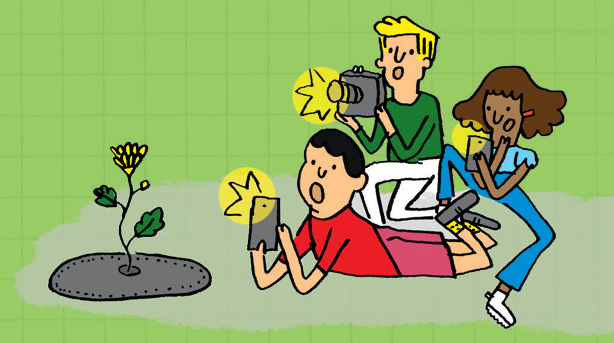 © Illustration : Lucie Parkes. Les maxi-conseils : 3 idées pour veiller sur la nature, J'aime lire Max n°305, mai 2024.