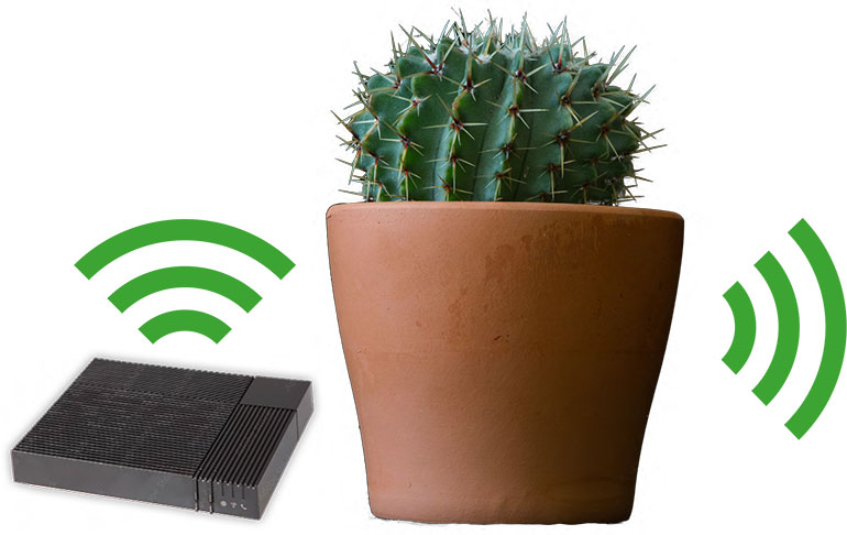 Le cactus. Un réseau Wi-Fi végétal, article extrait du magazine Okapi n°1197, 1er avril 2024. Photo : Adobestock.