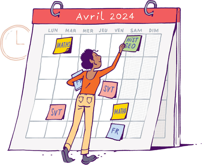 Les révisions, ça demande de l’organisation. Mémoire, le vrai du faux, article extrait du magazine Phosphore n°575, 1er mai 2024. Illustration : Quentin Vijoux.