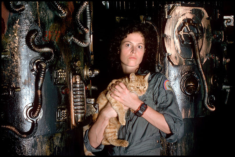 Alien. Halloween : On regarde quoi comme films pour avoir bien peur ?, article extrait du magazine Phosphore n°562, 15 octobre 2023.