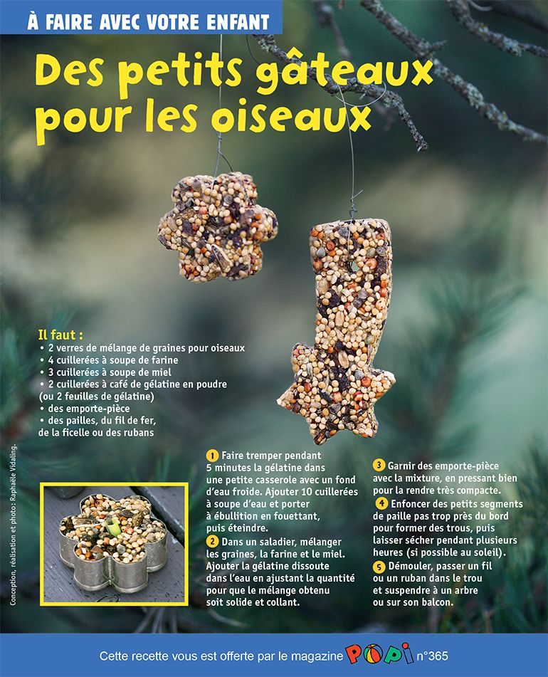 “Des petits gâteaux pour les oiseaux”, supplément pour les parents du magazine Popi n°365, janvier 2017. Conception, réalisation et photo : Raphaële Vidaling.