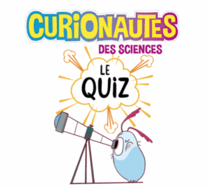 quiz
