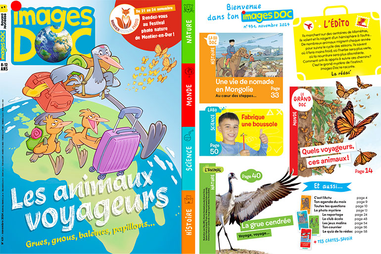 Couverture et sommaire du magazine Images Doc n°431, novembre 2024 - Les animaux voyageurs : grues, gnous, baleines, papillons…