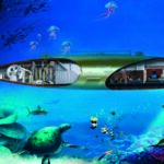 nautilus