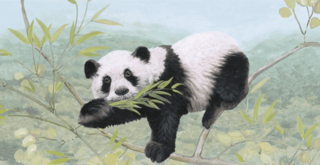 Des découvertes sur les sciences, l’Histoire et la nature : les séries “La nature à la loupe” et “Les animaux à la loupe” (4-8 ans) sur Bayam.