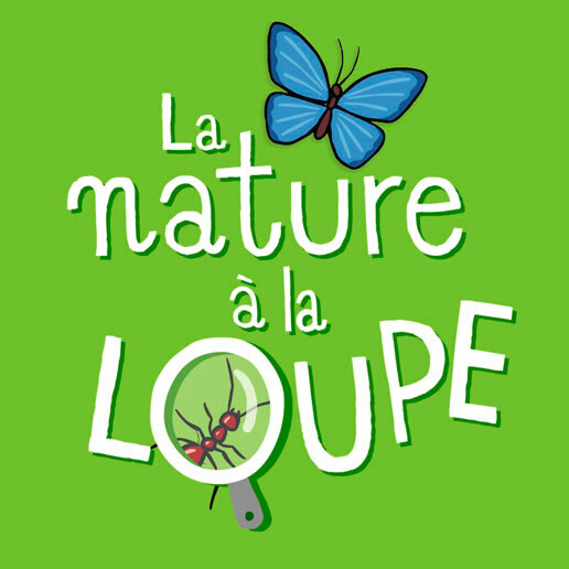 5-10 ans