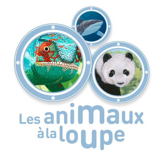 5-10 ans