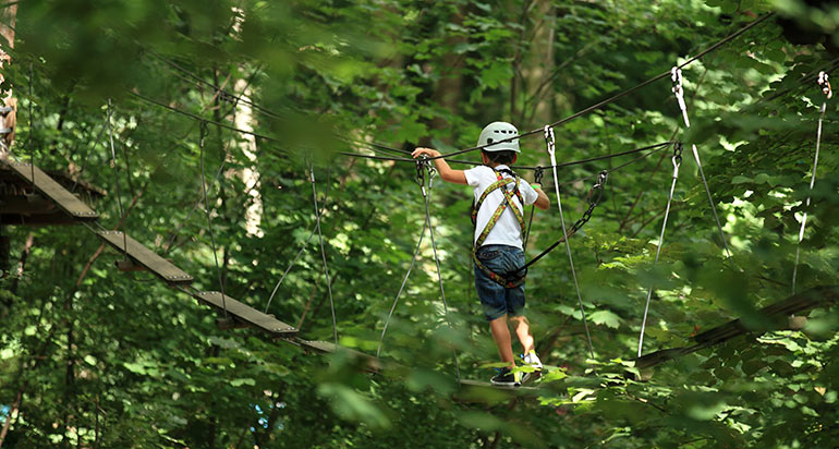 Journée stage de la forêt avec AccroCamp