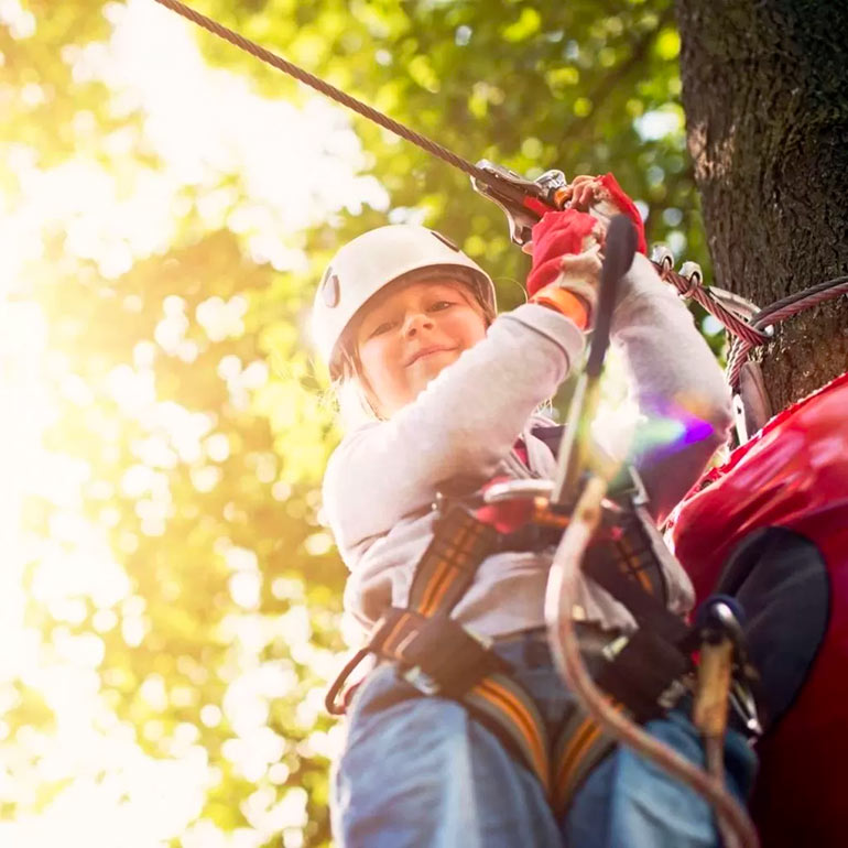Journée stage de la forêt avec AccroCamp