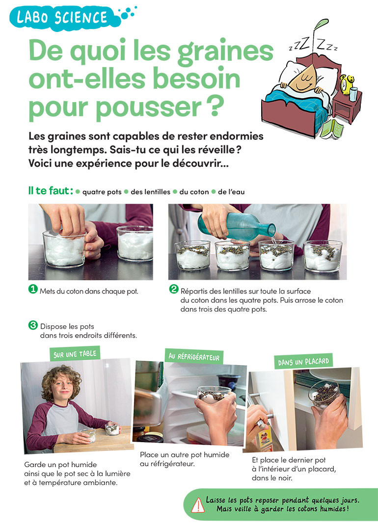 “Labo science : De quoi les graines ont-elles besoin pour pousser ?”, Images Doc n°399, mars 2022. Photo : Rebecca Josset.