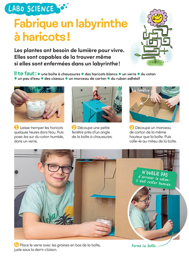 “Labo science : fabrique un labyrinthe à haricots”, Images Doc n°401, mai 2022. Photos : Rebecca Josset. Illustrations : Jérôme Sié.
