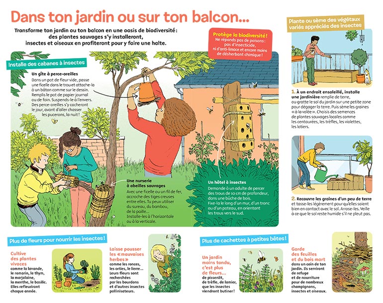 “Le labo, spécial biodiversité : Agis pour la nature”, Images Doc n°377, mai 2020. Textes : Nathalie Tordjman. Illustrations : Claire de Gastold.