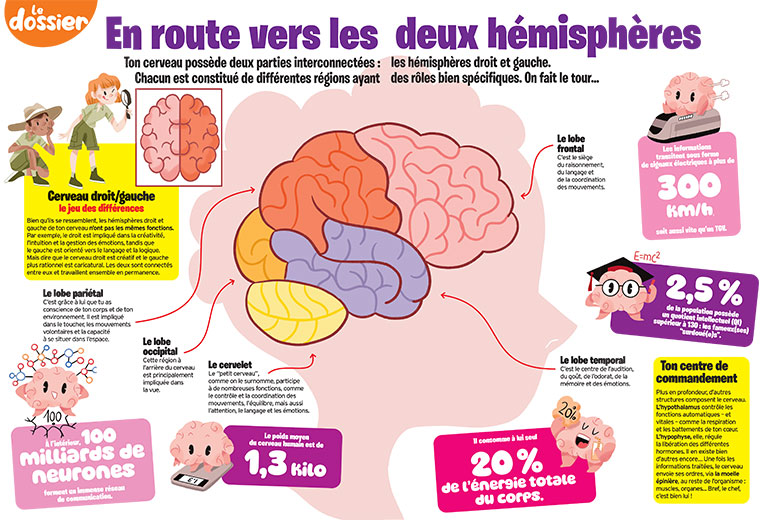 “Le cerveau : la grande exploration”. Okapi n° 1229, 1er octobre 2025. Illustration : Colonel Moutarde.