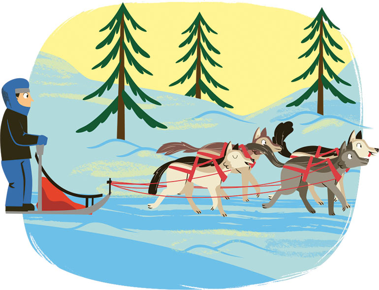 La course de chiens de traîneau était pratiquée aux Jeux olympiques d’hiver. Ce sport était une démonstration, les participants ne gagnaient pas de médailles.