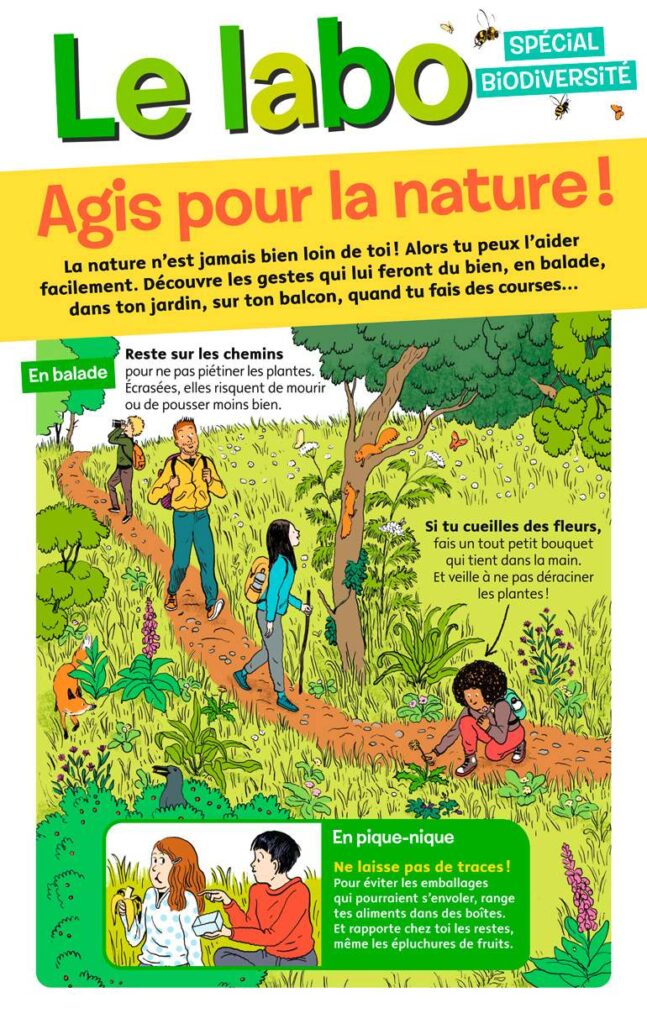 “Le labo, spécial biodiversité : Agis pour la nature”, Images Doc n°377, mai 2020. Textes : Nathalie Tordjman. Illustrations : Claire de Gastold.