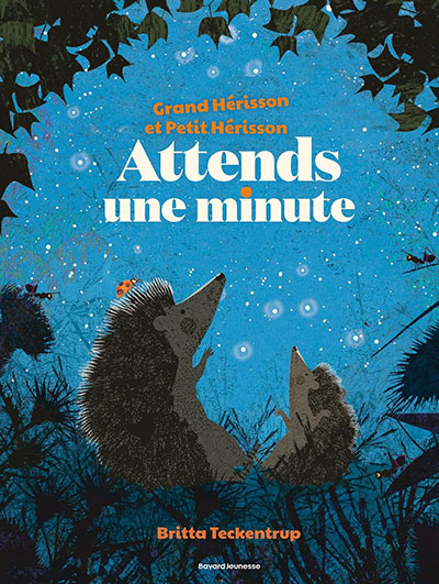 Grand Hérisson et Petit Hérisson - Attends une minute - Britta Teckentrup- Bayard Jeunesse