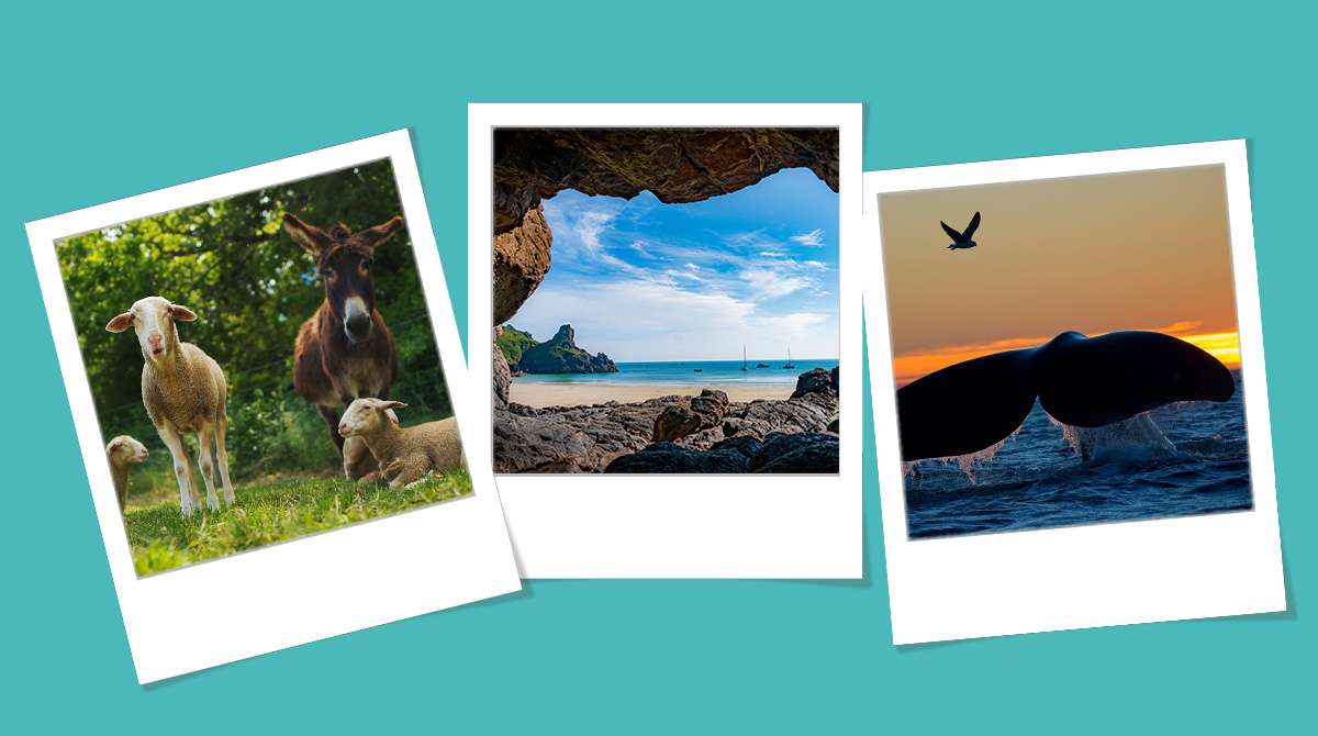 Vacances en famille : notre sélection de séjours en France bas carbone