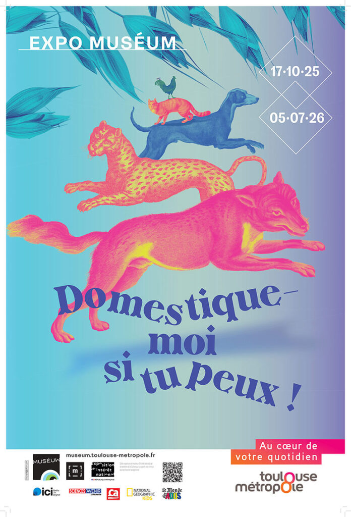Domestique-moi si tu peux !, Muséum de Toulouse (Haute-Garonne), jusqu'au 5 juillet 2026.