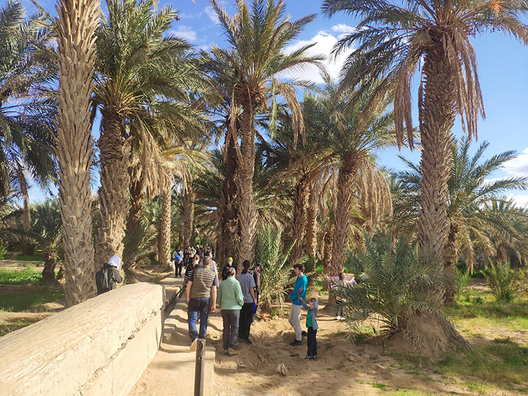 Voyage au Maroc - Une oasis