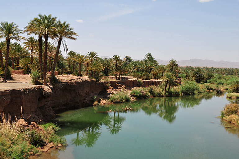Voyage au Maroc - Une oasis dans le désert