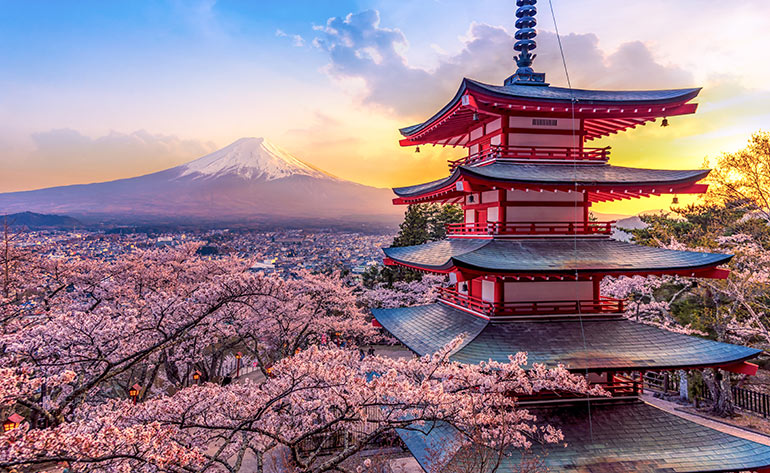 Séjour en famille au Japon © AdobeStock