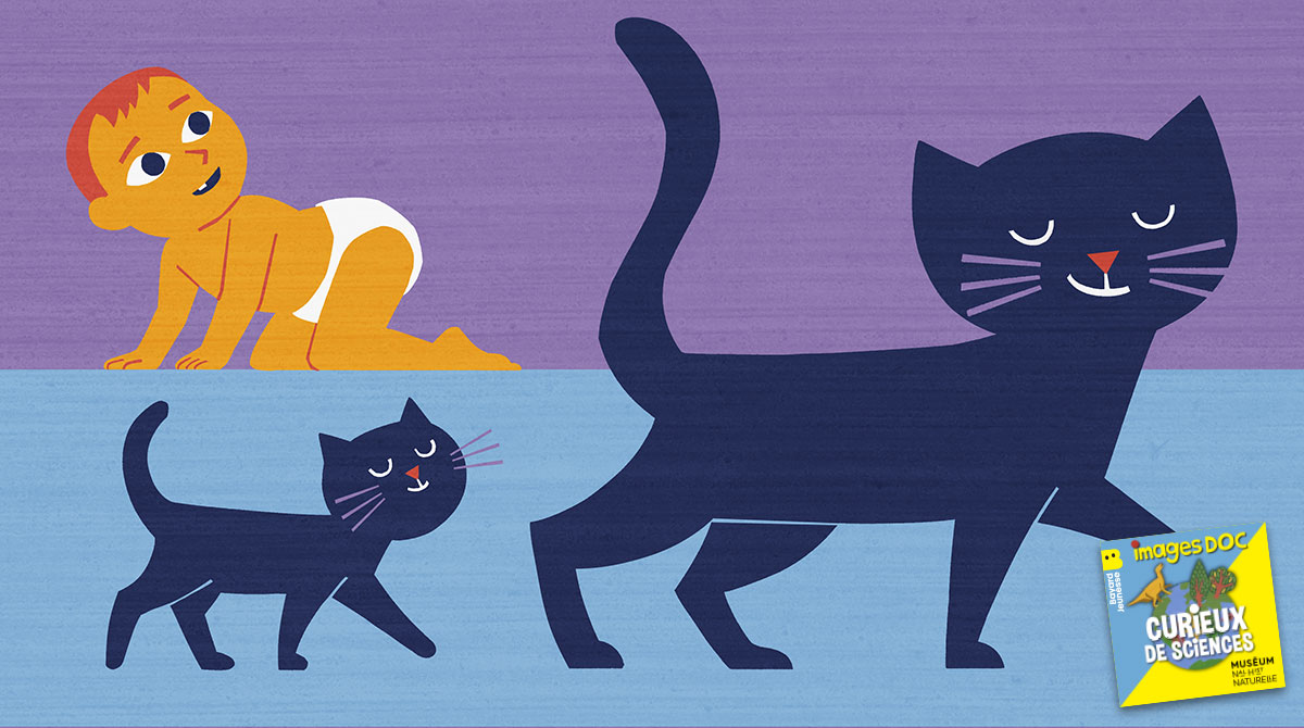 Illustration pour le podcast pour les enfants “Curieux de Sciences” : “Pourquoi les humains n’ont pas de queue ?”