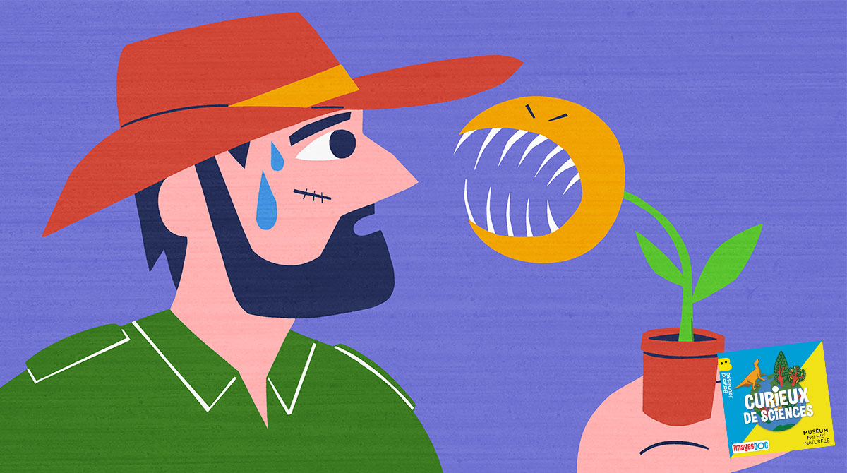 Illustration pour le podcast pour les enfants “Curieux de Sciences” : Est-ce qu’une plante carnivore peut manger un humain ?