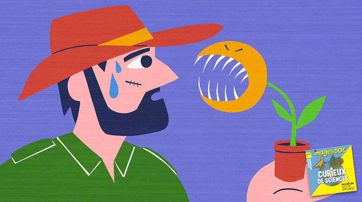 Illustration pour le podcast pour les enfants “Curieux de Sciences” : Est-ce qu’une plante carnivore peut manger un humain ?
