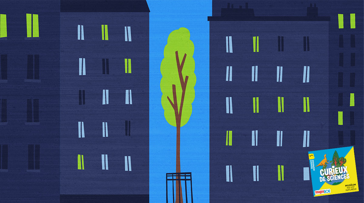 Illustration pour le podcast pour les enfants “Curieux de Sciences” : “Comment les plantes des villes trouvent de l’eau dans le béton ?”