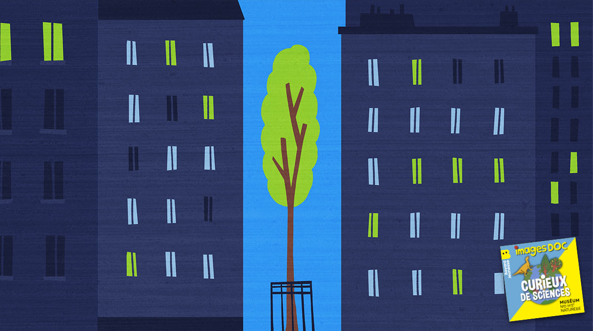Illustration pour le podcast pour les enfants “Curieux de Sciences” : “Comment les plantes des villes trouvent de l’eau dans le béton ?”