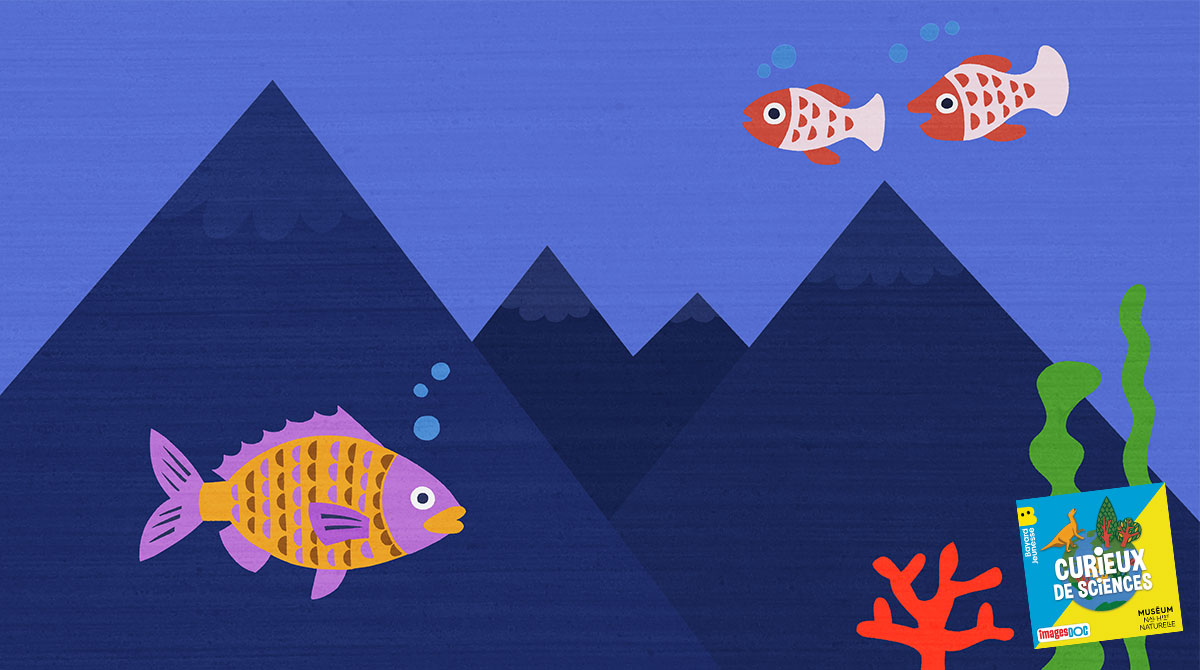 Illustration pour le podcast pour les enfants “Curieux de Sciences” : “Y a-t-il des montagnes au fond des mers ?”